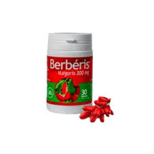 BERBERIS VULGARIS PHYTO D’ART 30 GELULES
