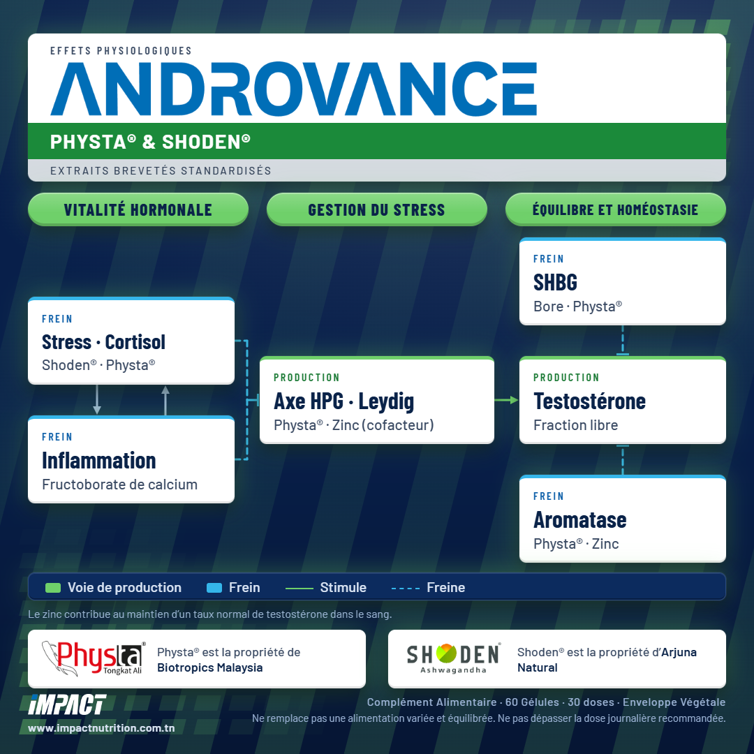 IMPACT NUTRITION ANDROVANCE TESTO - PHYSTA® & SHODEN®