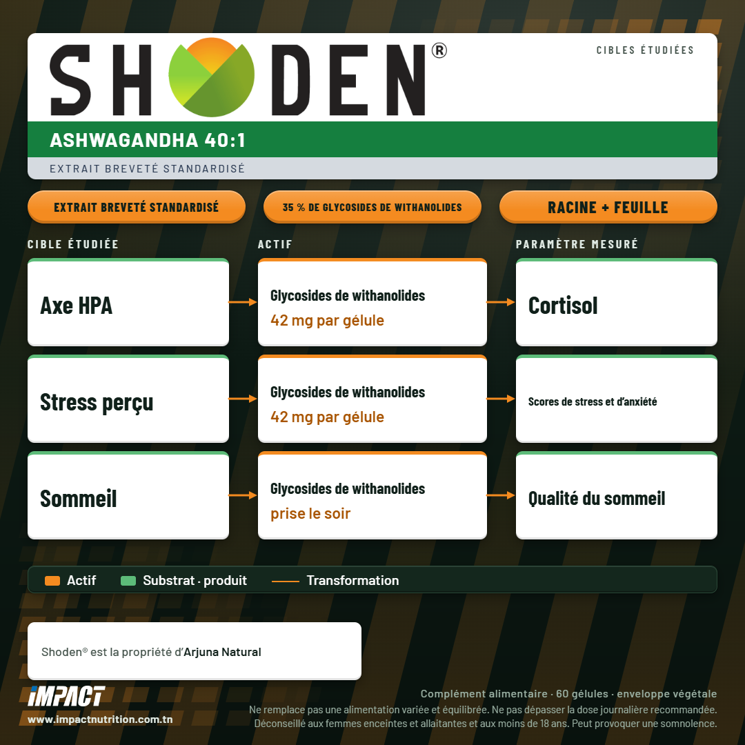 IMPACT NUTRITION ASHWAGANDHA 35% - SHODEN®